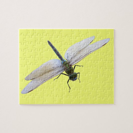 Dragonfly Puzzle (Horizontal)