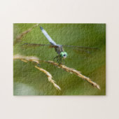 Dragonfly Puzzle (Horizontal)