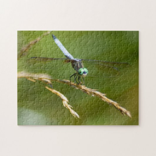 Dragonfly Puzzle (Horizontal)