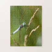 Dragonfly Puzzle (Vertikal)