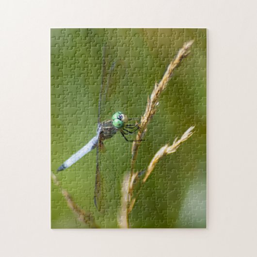 Dragonfly Puzzle (Vertikal)