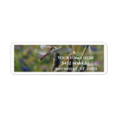 Dragonfly Return Address Label (Vorne)