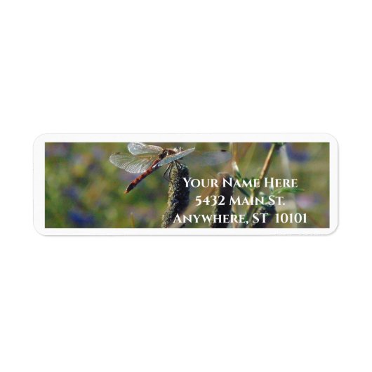 Dragonfly Return Address Label (Vorne)