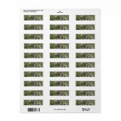 Dragonfly Return Address Label (Vorne)