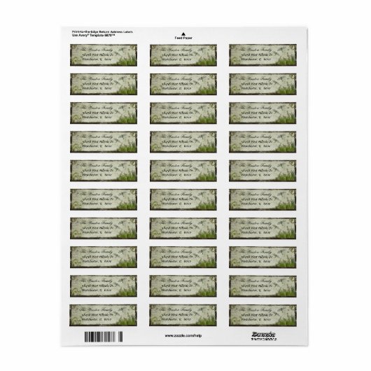 Dragonfly-Rücksendeadressen-Aufkleber (Vorne)