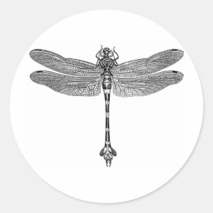 Dragonfly Runder Aufkleber