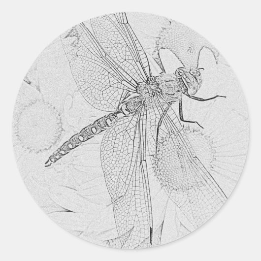 Dragonfly Runder Aufkleber (Vorderseite)