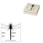 Dragonfly Saver Packet Tinte Briefmarke Gummistempel (Stempel)