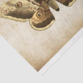Dragonfly-Schmetterling-Mottendecoupage-Tissue Seidenpapier (Ausschnitt)