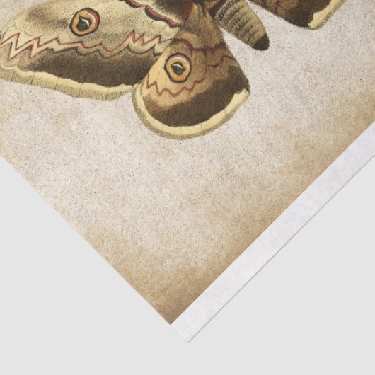 Dragonfly-Schmetterling-Mottendecoupage-Tissue Seidenpapier (Ausschnitt)