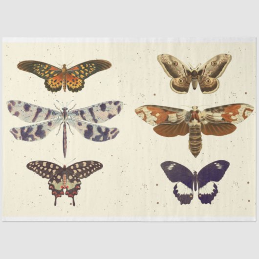 Dragonfly-SchmetterlingsmopfdecoupageGewebepapier Seidenpapier (Vorderseite)