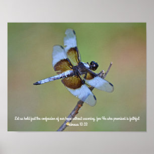 Dragonfly-Skript Fotografische Kunst drucken Poster