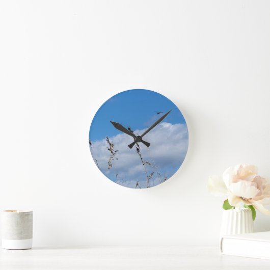 DRAGONFLY SKY RUNDE WANDUHR (Zuhause)