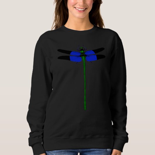 Dragonfly Spirit Animal 1 Sweatshirt (Vorderseite)