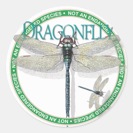 Dragonfly-Sticker Runder Aufkleber (Vorderseite)