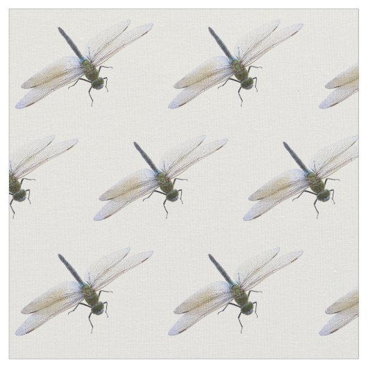 Dragonfly Stoff (Nahaufnahme)
