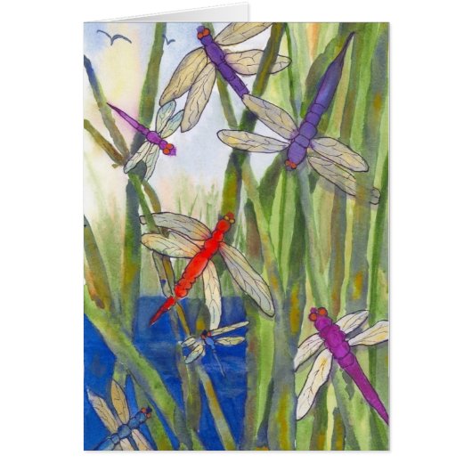 Dragonfly Summer (Vorne)