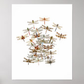 Dragonfly Swarm Poster (Vorne)