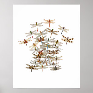 Dragonfly Swarm Poster