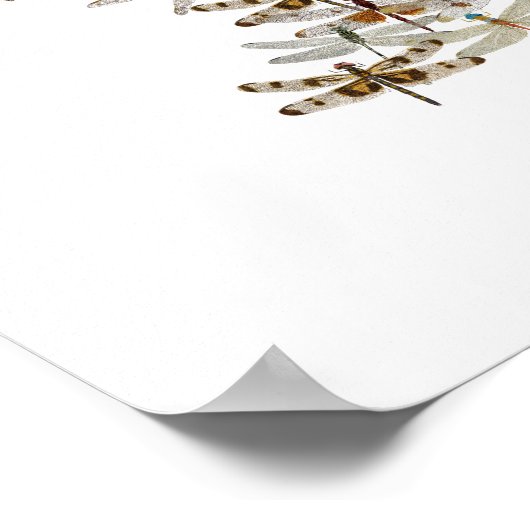Dragonfly Swarm Poster (Ecke)