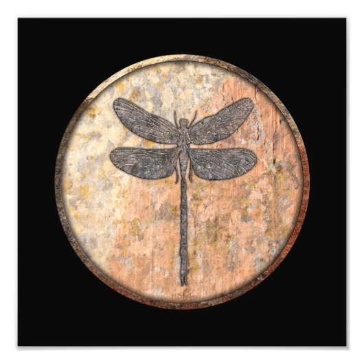 Dragonfly Talking Canyons, New Mexico Fotodruck (Vorne)