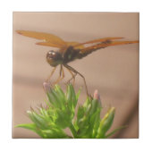 Dragonfly Tile Fliese (Vorderseite)