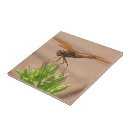Dragonfly Tile Fliese (Seite)