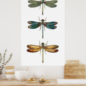 Dragonfly Trio Poster (Küche)