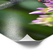 Dragonfly und Davids Lavender Phlox Fotodruck (Ecke)