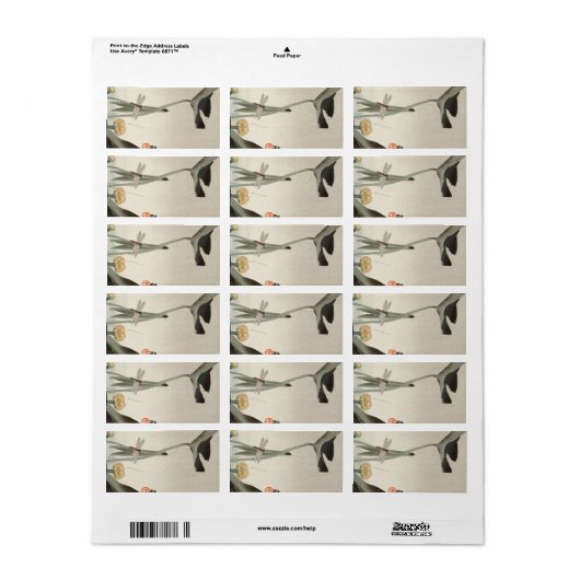 Dragonfly und Lotus, 1920 von Ohara Koson Adressaufkleber (Vorne)