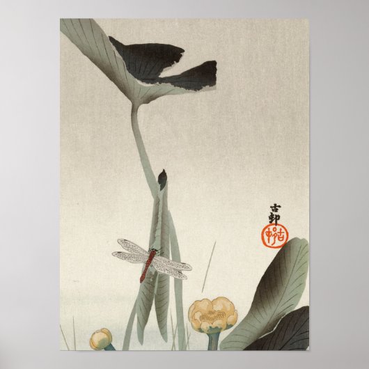 Dragonfly und Lotus, 1920 von Ohara Koson Poster (Vorne)