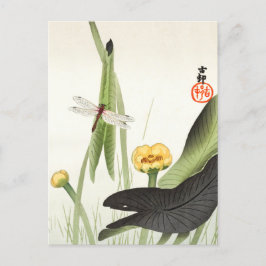 Dragonfly und Lotus von Ohara Koson, japanische Ku Postkarte