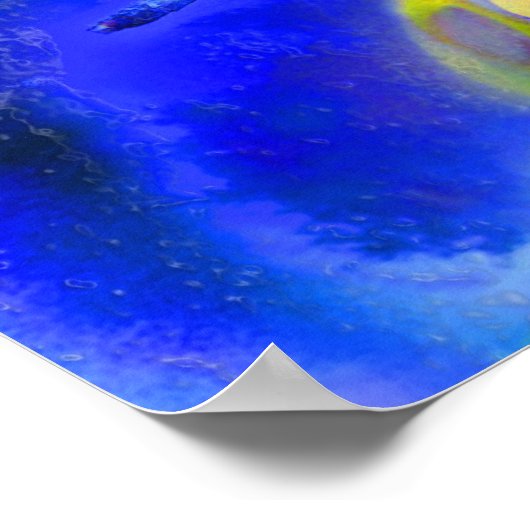 Dragonfly View , Poster (Ecke)