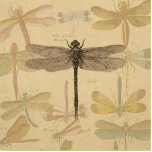 Dragonfly Vintag Antike klassische Natur Freistehende Fotoskulptur<br><div class="desc">Vintage Libelle Antiquitätenbild einer Libelle - Diese kleine Libelle ist ein antikes Bild einer in Schwarz und Weiß gezeichnet Libelle mit einem Hintergrund von farbenfrohen Libellen gegen antikes Papier.</div>