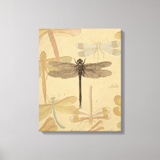 Dragonfly Vintag Antike klassische Natur Leinwanddruck (Vorderseite)