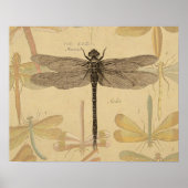 Dragonfly Vintag Antike klassische Natur Poster (Vorne)