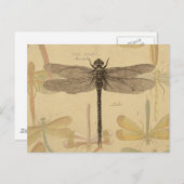 Dragonfly Vintag Antike klassische Natur Postkarte (Vorne/Hinten)