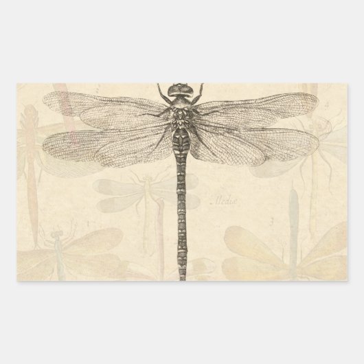 Dragonfly Vintag Antike klassische Natur Rechteckiger Aufkleber (Vorderseite)