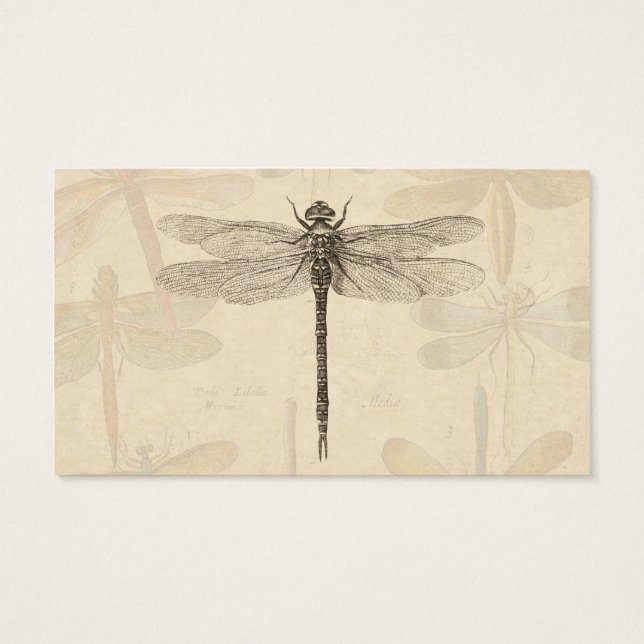 Dragonfly Vintag Antique Classic Zeichnend (Rückseite)