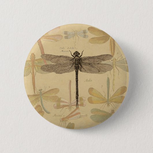 Dragonfly Vintag Antique Classic Zeichnend Button (Vorderseite)