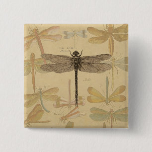 Dragonfly Vintag Antique Classic Zeichnend Button