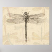 Dragonfly Vintag Antique Classic Zeichnend Poster (Vorne)