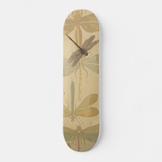 Dragonfly Vintag Antique Classic Zeichnend Skateboard (Vorderseite)