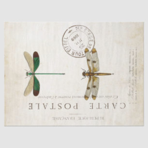 Dragonfly Vintager Französischer Carte Postale Dec Seidenpapier