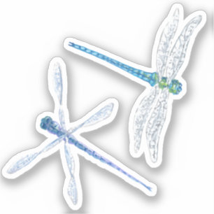 Dragonfly Vinyl Stickers Aufkleber