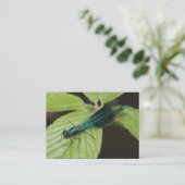 Dragonfly Visitenkarte (Stehend Vorderseite)