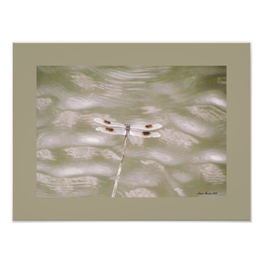 Dragonfly von Linda Becker Fotodruck (Vorne)