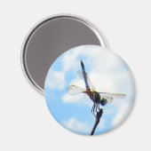 Dragonfly ~ Vorbereitung auf den Start Magnet (Vorderseite/Rückseite)