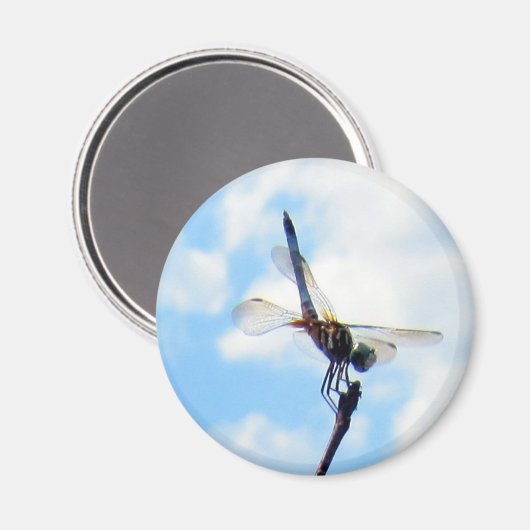 Dragonfly ~ Vorbereitung auf den Start Magnet (Vorderseite/Rückseite)