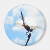 Dragonfly ~ Vorbereitung auf den Start Magnet (Vorne)